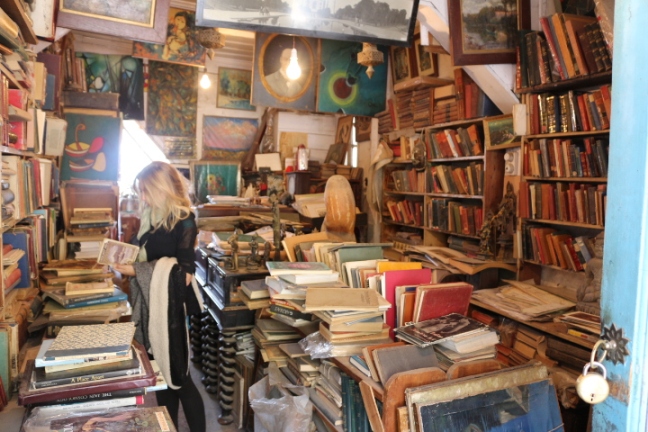 Flo in bookshop in Shimla